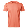 Trail Core men's - 810 - sunset melange