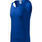 color_royalblue