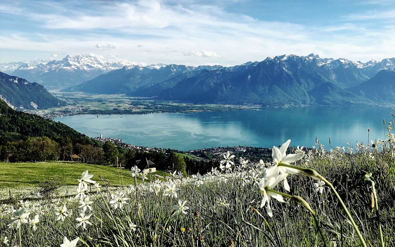 City view of Montreux