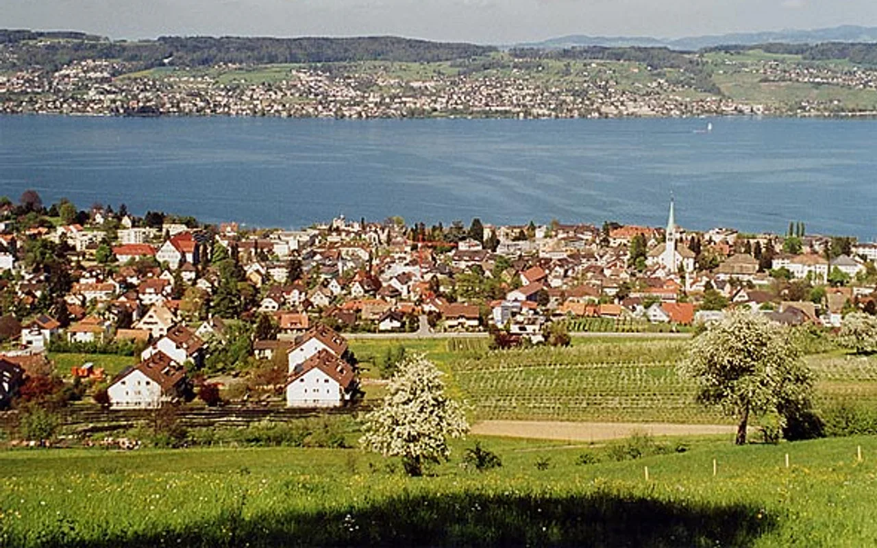 City view of Wädenswil